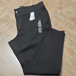 Stylish Lane Bryant Black Pants